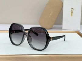 Picture of Chloe Sunglasses _SKUfw52349402fw